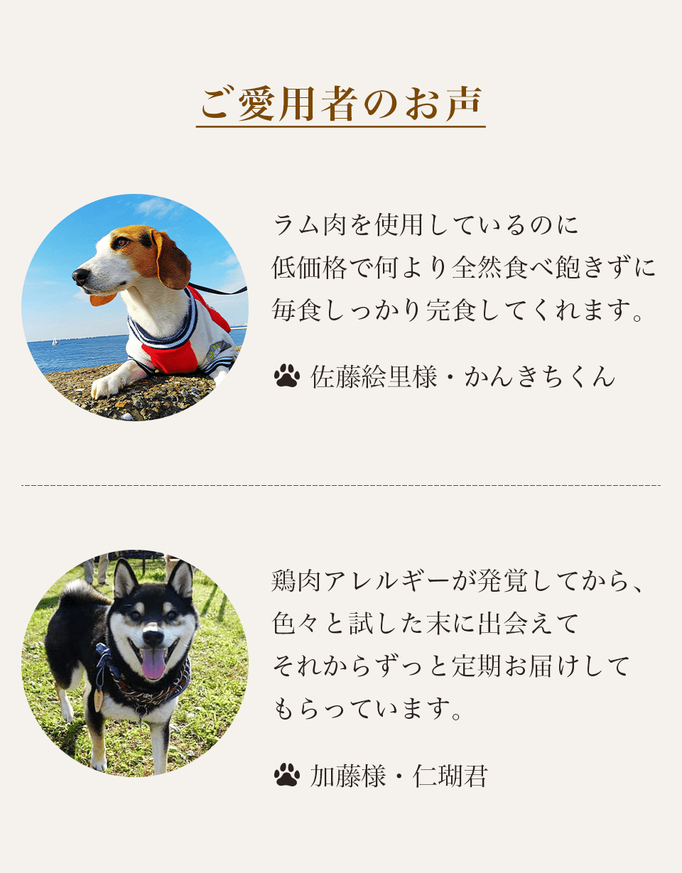 愛犬の健康を考えたプレミアムドックフードならレティシアン