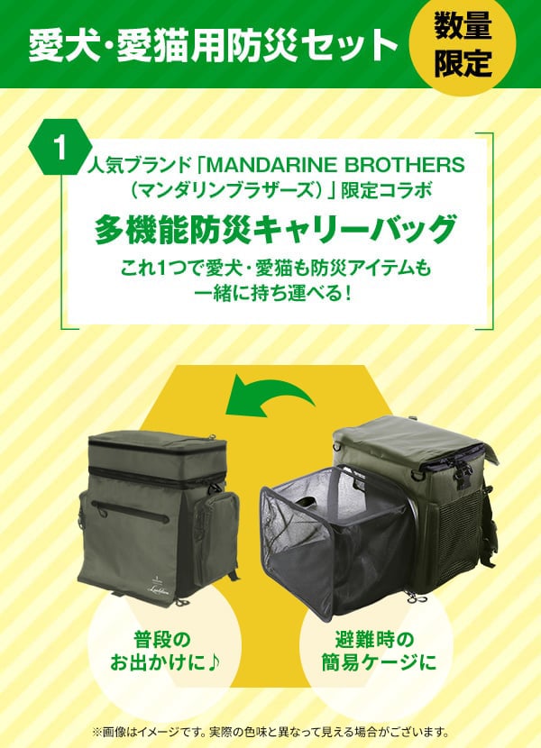 多機能キャリーバッグ