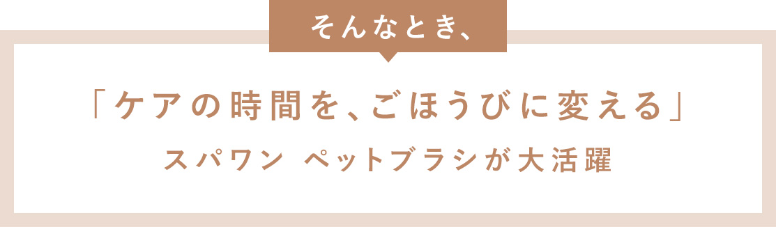 そんな時、ケアの時間をご褒美に変える、スパワンペットブラシが大活躍