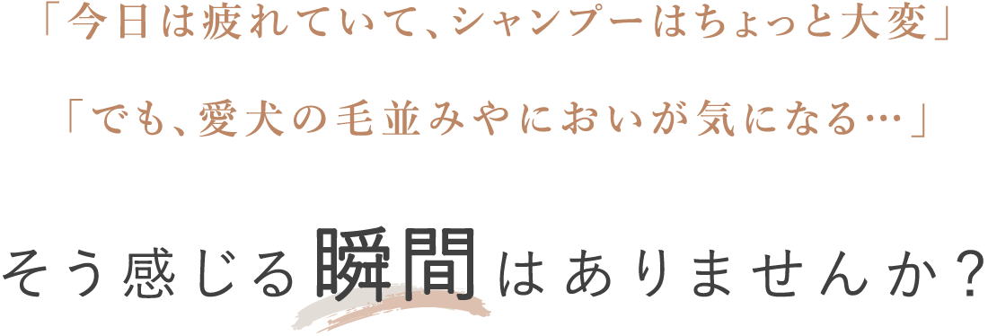 今日は疲れていてシャンプーは大変。そう感じる瞬間はありませんか？