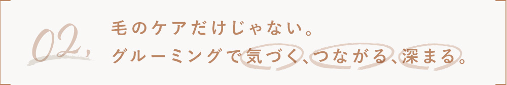 2.毛のケアだけじゃない、グルーミングで気づく、つながる、深まる。