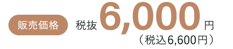 税抜6,000円（税込6,600円）