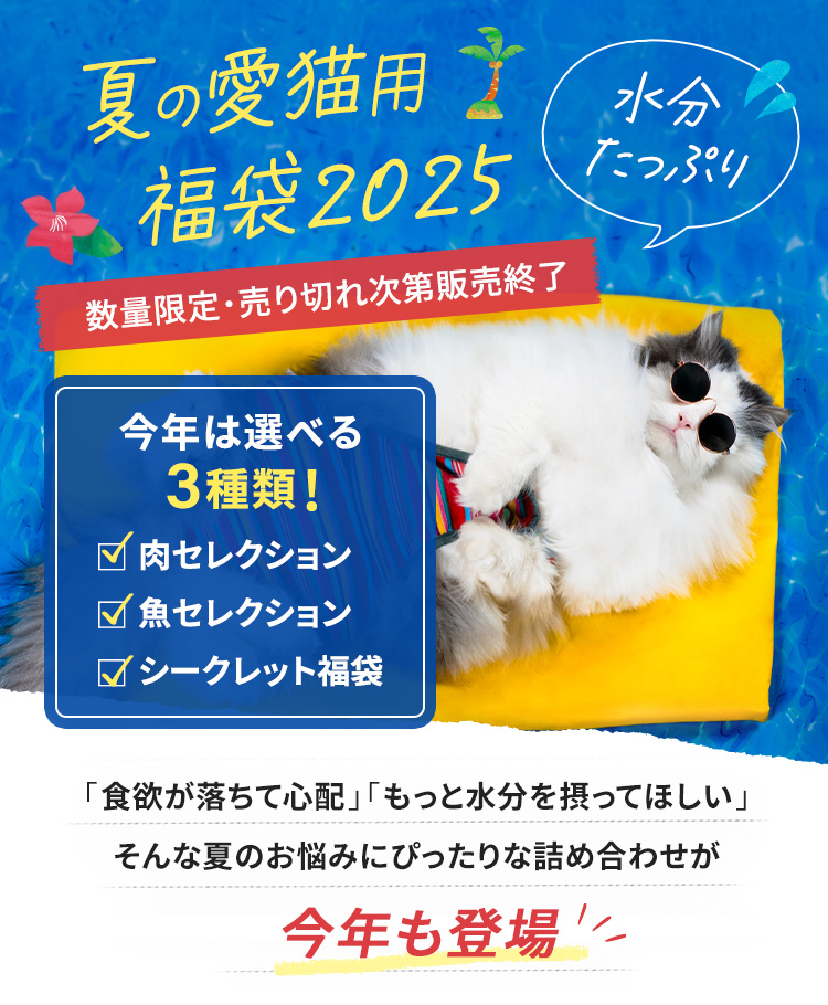 夏の愛猫用福袋2025