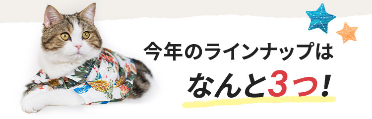 今年のラインナップはなんと3つ！