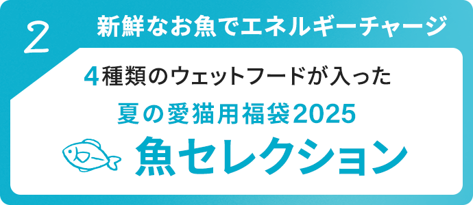 新鮮なお魚でエネルギーチャージ魚コレクション