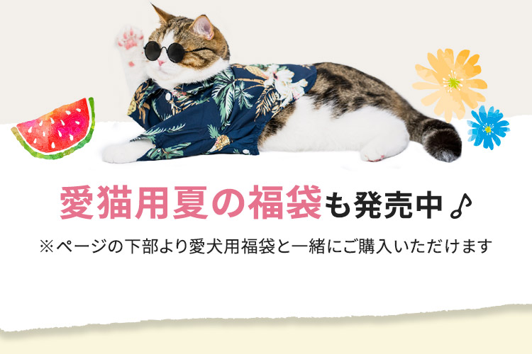 愛猫用夏の福袋も発売中