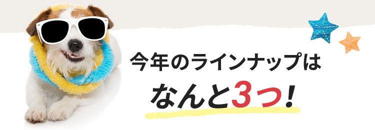 今年のラインナップはなんと3つ！