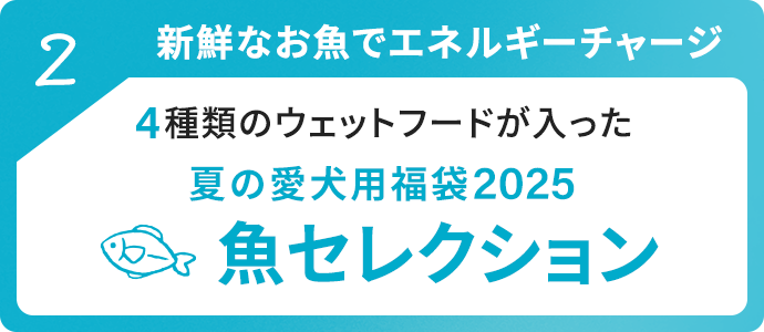 新鮮なお魚でエネルギーチャージ魚コレクション