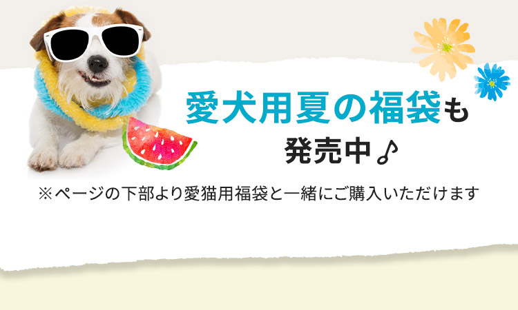 愛犬用夏の福袋も発売中