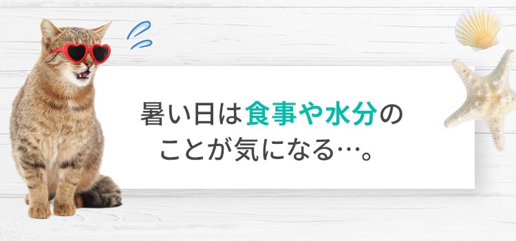 暑い日は食事や水分が気になる・・・