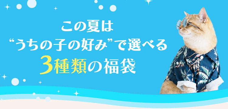 この夏はうちの子の好みで選べる3種類の福袋