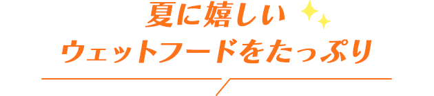 夏に嬉しいウェットフードをたっぷり