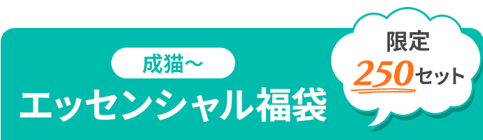 エッセンシャル福袋