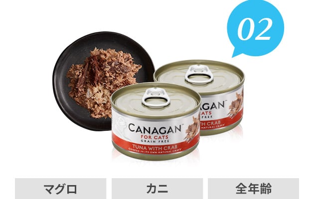 カナガンキャットフード ビーフシチュー 缶詰