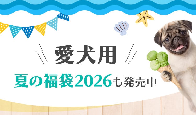 愛犬用夏の福袋2026も発売中!