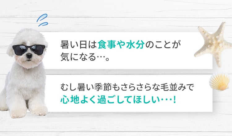 暑い日は食事や水分のことが気になる・・・
