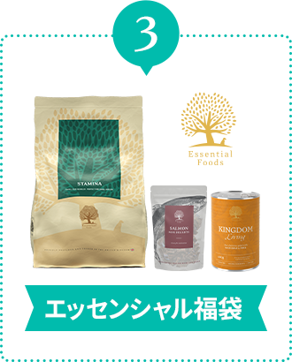 エッセンシャル福袋