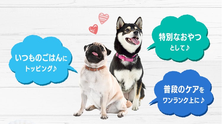 いつものごはんに、特別なおやつに、普段のケアをワンランク上に!