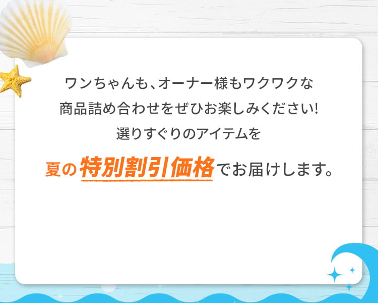 夏だけの特別割引価格でお届けします！