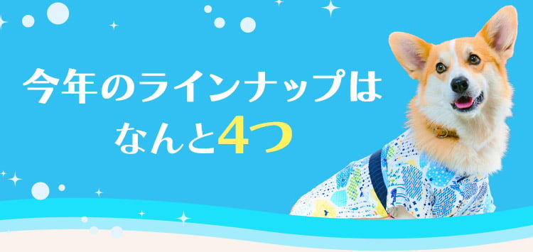 今年のラインナップはなんと4つ!