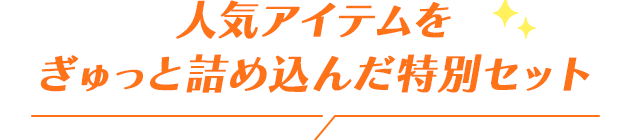 人気のアイテムをぎゅっと詰め込んだ特別セット