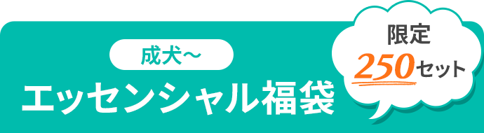 エッセンシャル福袋・限定250セット