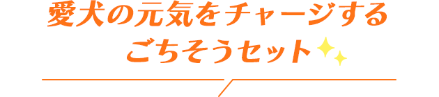 愛犬の元気をチャージするごちそうセット