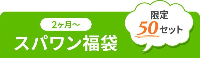 スパワン福袋・限定50セット