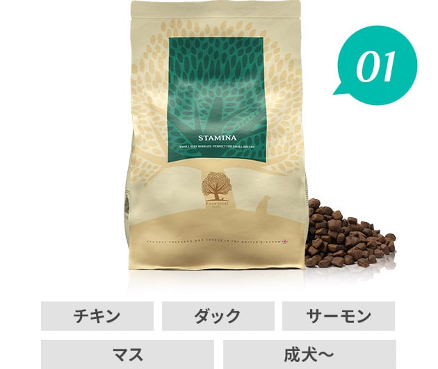 エッセンシャルドッグフード スタミナ