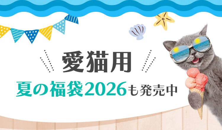 愛猫用夏の福袋2026も発売中!
