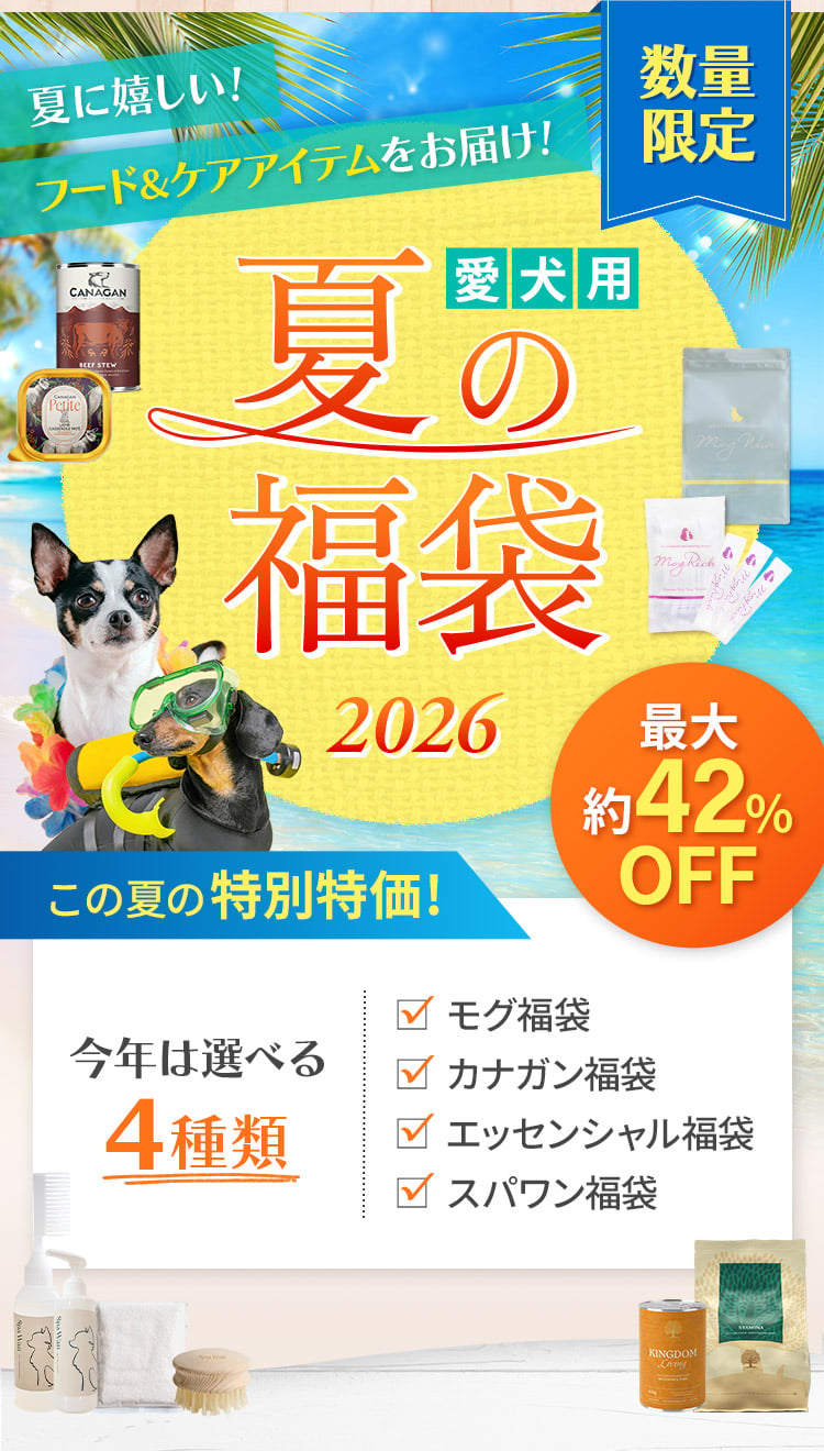 愛犬用夏の福袋2026