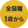 全猫種 1歳～
