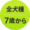 全犬種 7歳
